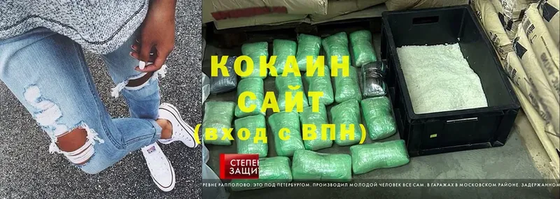 Cocaine Fish Scale  Новоалтайск 